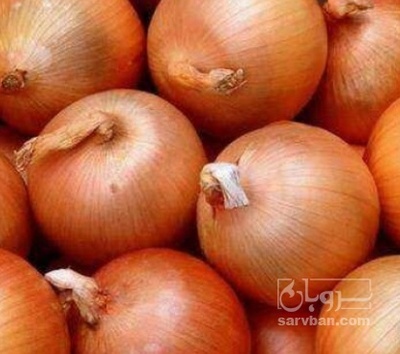 فروش پیاز زرد