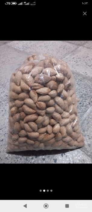 فروش بادام درختی