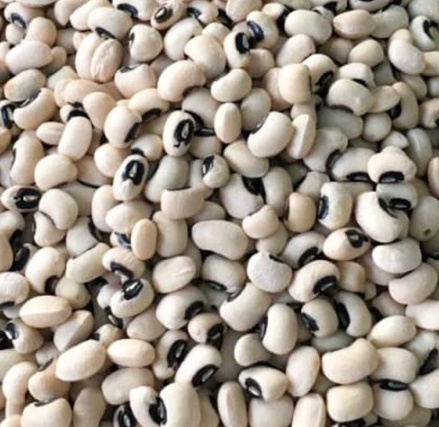 فروش لوبیا چشم بلبلی