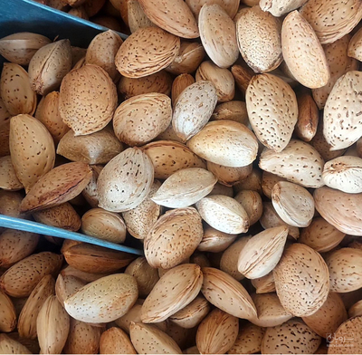 فروش بادام درختی