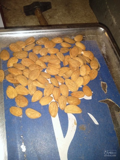 فروش مغز بادام