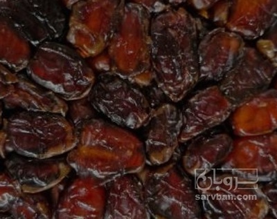 فروش خرما کبکاب