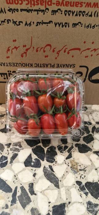 فروش گوجه فرنگی زیتونی