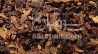 فروش تنباکو کوهی (گیاه‌ دارویی)