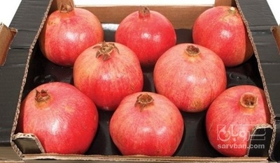 فروش انار صادراتی کارتنی