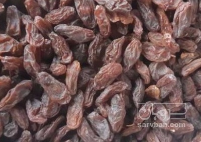 فروش مویز عسگری