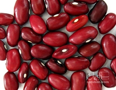 فروش لوبیا قرمز