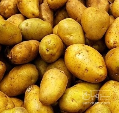 فروش سیب زمینی جلی