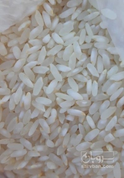 فروش برنج کامفیروزی