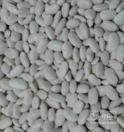 فروش لوبیا سفید