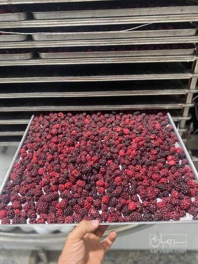 فروش بلک بری