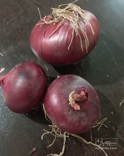 فروش پیاز قرمز