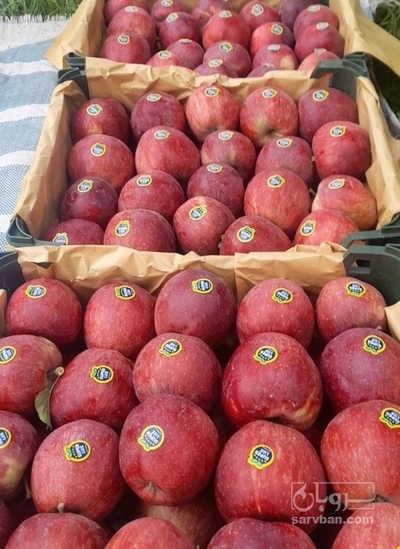 فروش سیب قرمز