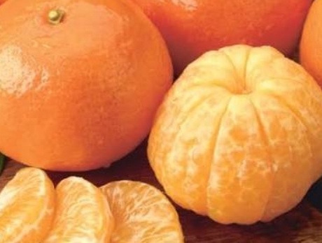 فروش نارنگی