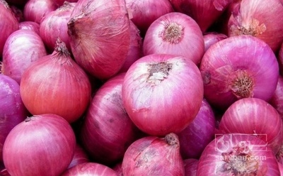 فروش پیاز قرمز