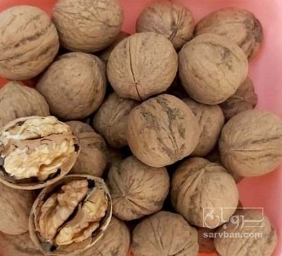 فروش گردو ایرانی