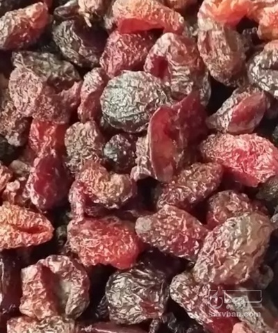 فروش زغال اخته خشک بی هسته