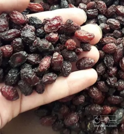 فروش زغال اخته خشک