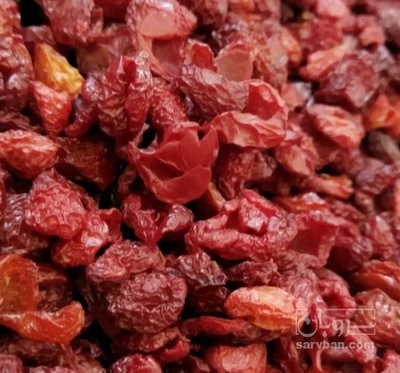 فروش زغال اخته