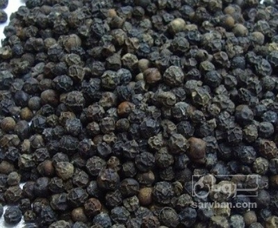 فروش دانه فلفل سیاه