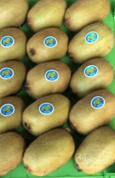 فروش کیوی سبد بندی شده