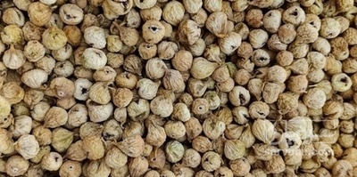 فروش انجیر خشک