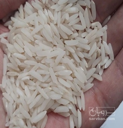 فروش برنج هاشمی