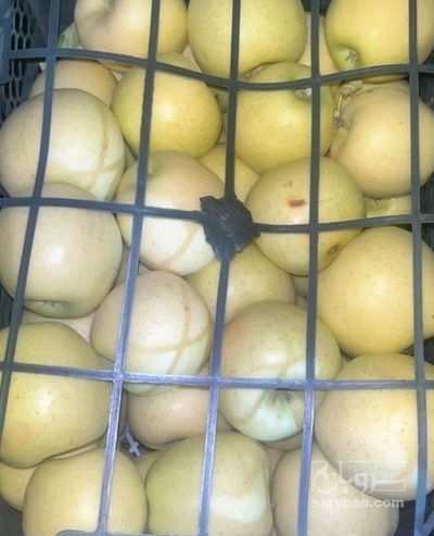 فروش سیب زرد فله