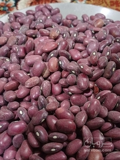 فروش لوبیا قرمز