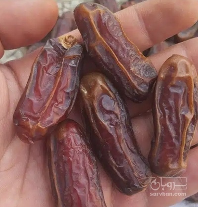 فروش خرما شاهانی