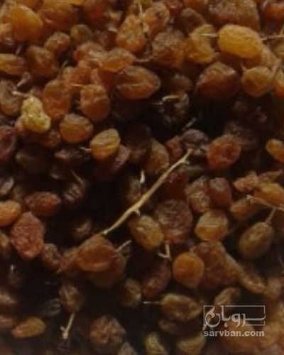 فروش کشمش بی دانه تیزابی