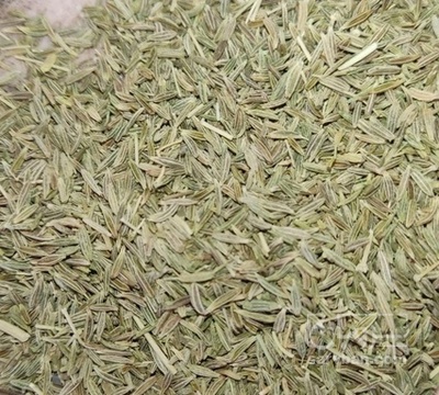 فروش زیره (گیاه‌ دارویی)