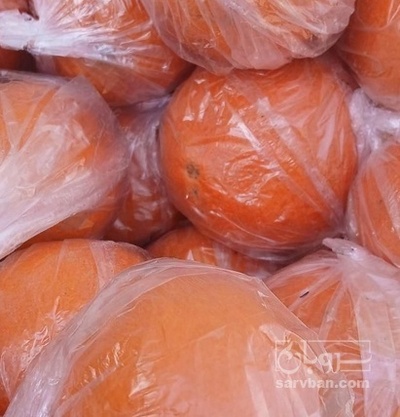 فروش پرتقال