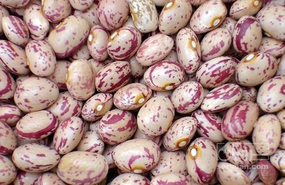 فروش لوبیا چیتی