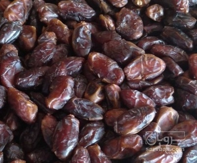 فروش خرما کبکاب