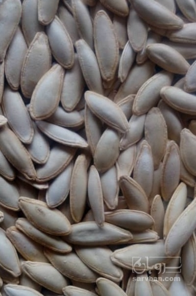 فروش تخمه  کدو