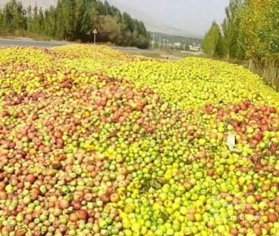 فروش سیب زیر درختی