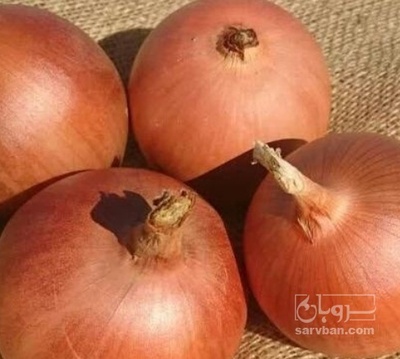 فروش پیاز زرد