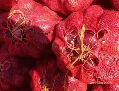 فروش پیاز قرمز