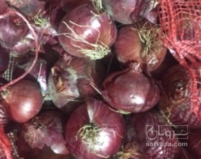 فروش پیاز قرمز ریز ترشی
