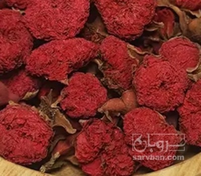 فروش گلنار فارسی ( گل انار ) (گیاه‌ دارویی)