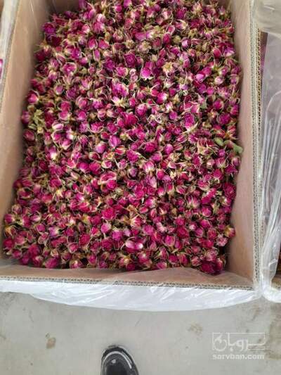 فروش گل محمدی (گیاه‌ دارویی)