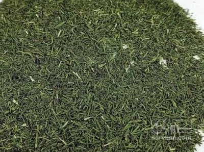 فروش شوید خشک (گیاه‌ دارویی)