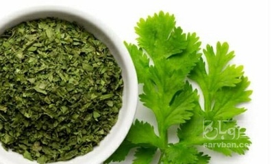 فروش گشنیز خشک