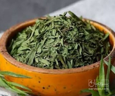 فروش ترخون (گیاه‌ دارویی)