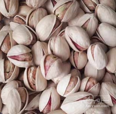 فروش پسته فندقی