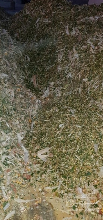 فروش چاپر ذرت - سیلاژ ذرت