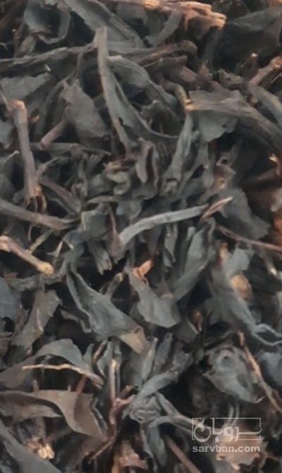 فروش چای سیاه ممتاز