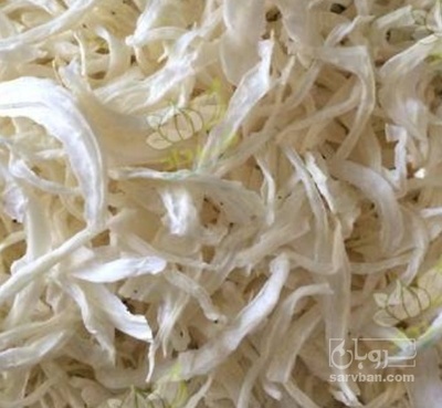 فروش پیاز خشک زرد و سفید