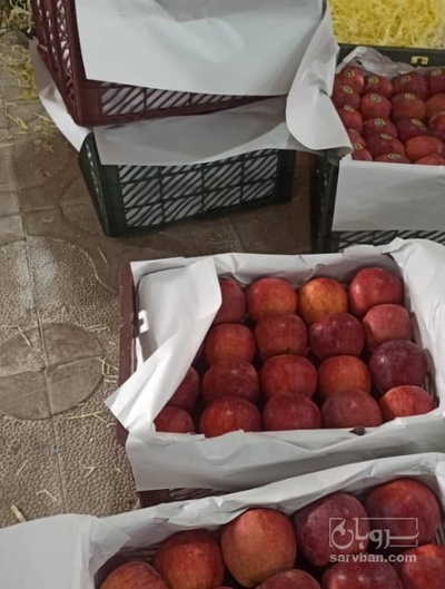 فروش سیب قرمز
